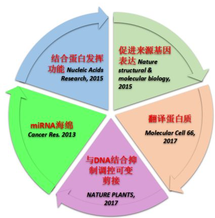 auto_2029 auto_2029